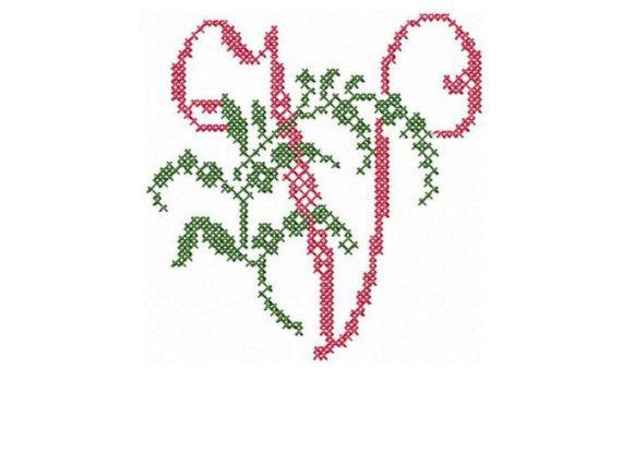 Monogram Letter V: A Designer’s Review for Boutique Sweatshirts